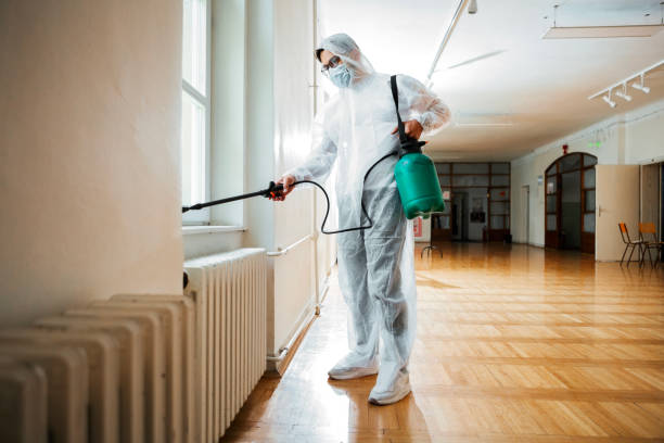 Real Estate Pest Inspections in Ponchatoula, LA